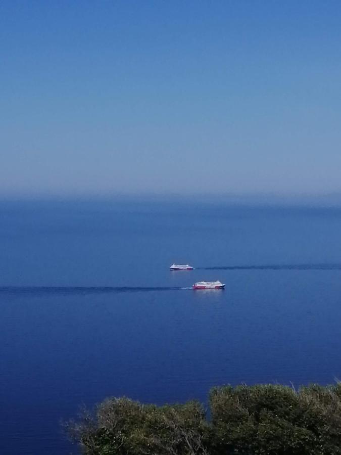 Apartmán Aegean Deep Blue Andros Ano Aprovato Exteriér fotografie